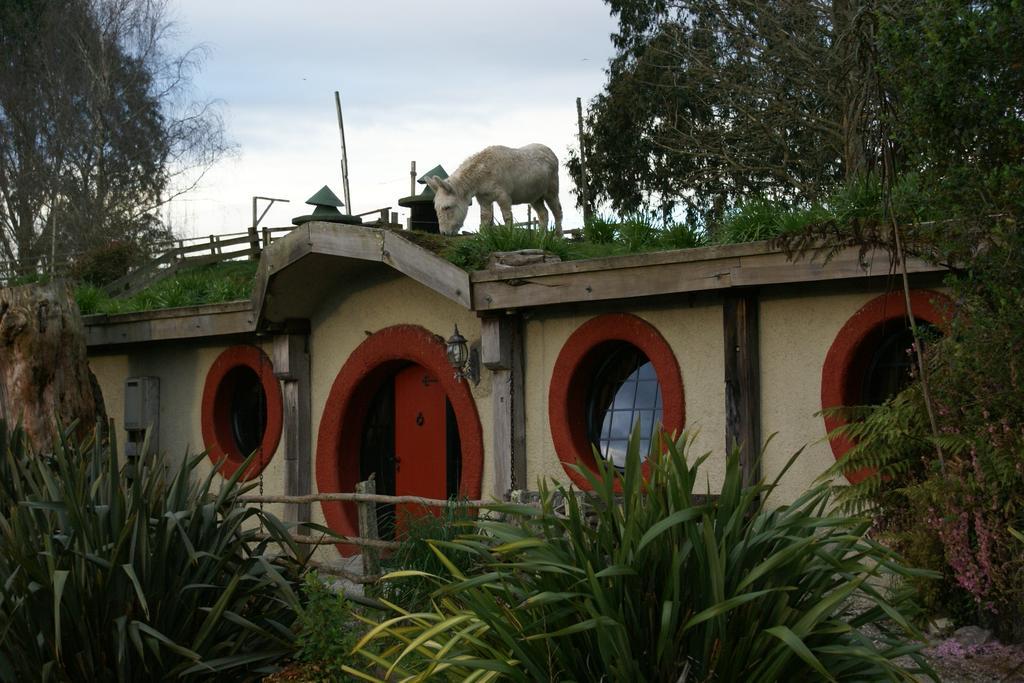 Woodlyn Park Motel Waitomo Caves Ngoại thất bức ảnh
